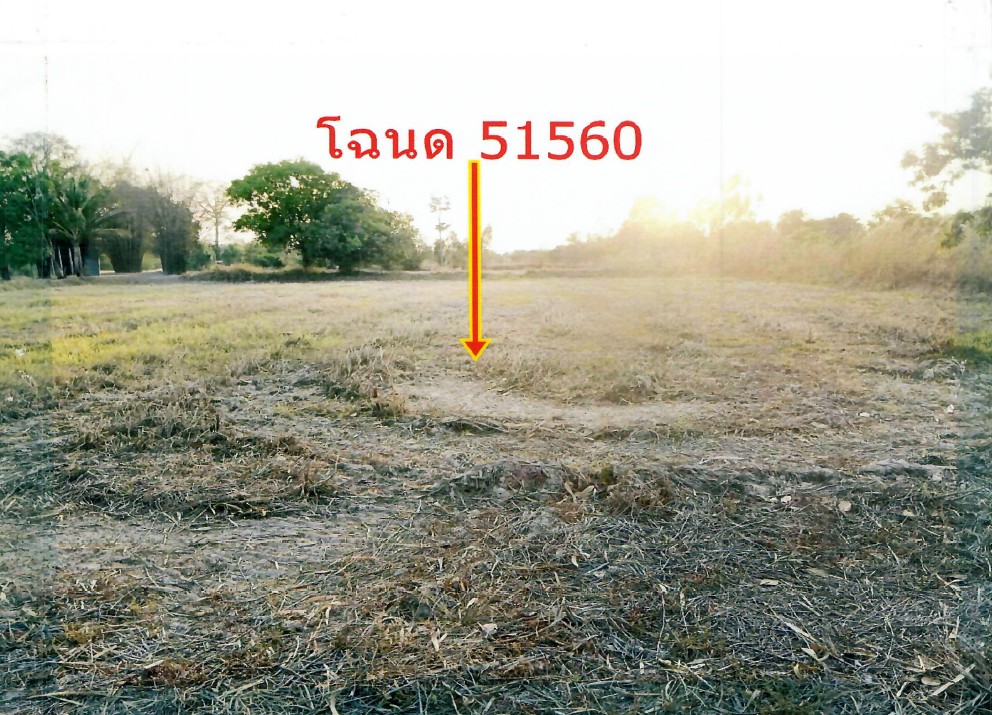 ขายทอดตลาด ที่ดินว่างเปล่า จ.ยโสธร