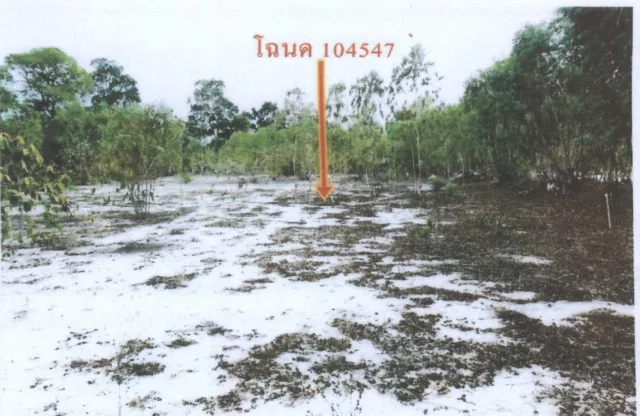 ขายทอดตลาด ที่ดินว่างเปล่า ต.ดู่ทุ่ง อ.เมืองยโสธร จ.ยโสธร