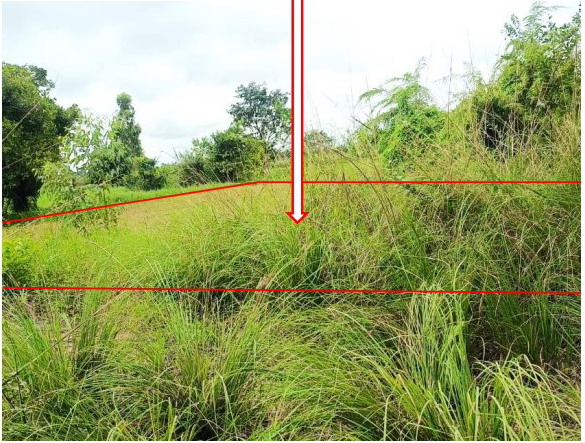 ขายทอดตลาด ที่ดินว่างเปล่า ต.สงเปือย อ.คำเขื่อนแก้ว จ.ยโสธร