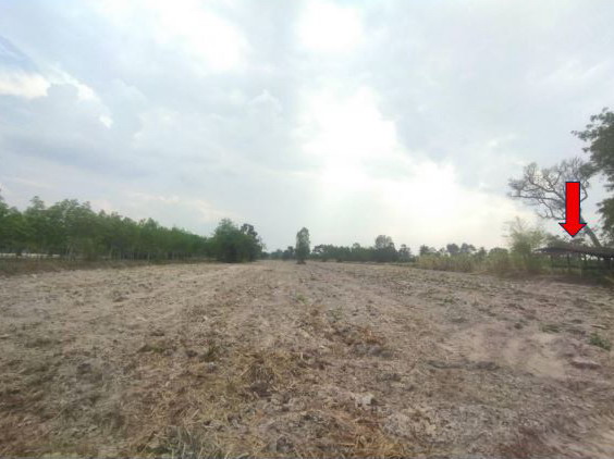 ขายทอดตลาด ที่ดินพร้อมสิ่งปลูกสร้าง ต.วังสามัคคี อ.โพนทอง จ.ร้อยเอ็ด