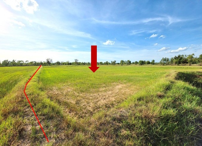 ขายทอดตลาด ที่ดินว่างเปล่า ต.ลุมพุก อ.คำเขื่อนแก้ว จ.ยโสธร