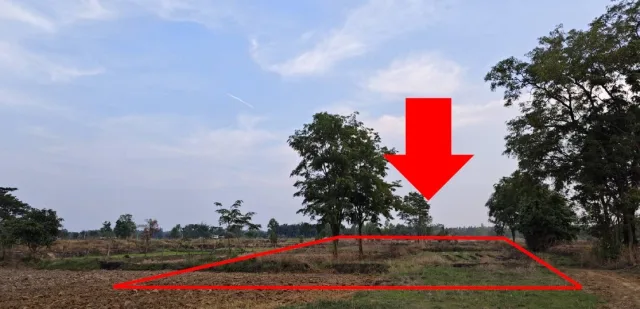 ขายทอดตลาด ที่ดินว่างเปล่า ต.โคกนาโก อ.ป่าติ้ว จ.ยโสธร