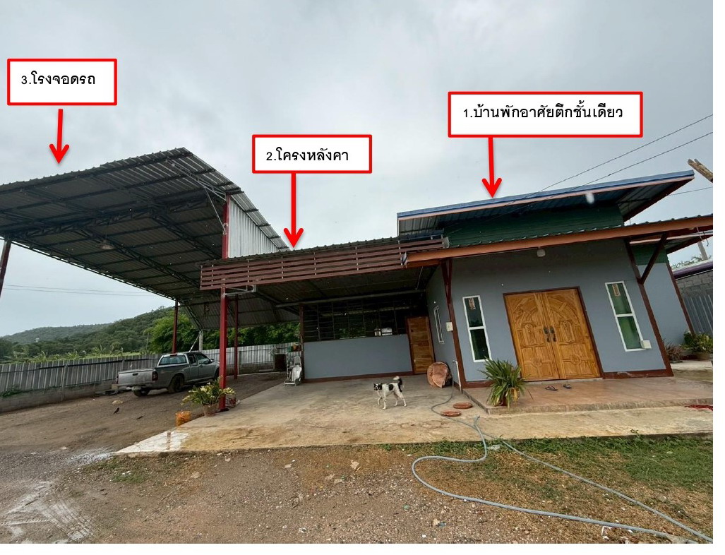 ขายทอดตลาด ที่ดินพร้อมสิ่งปลูกสร้าง ต.เขาสามสิบหาบ อ.ท่ามะกา จ.กาญจนบุรี