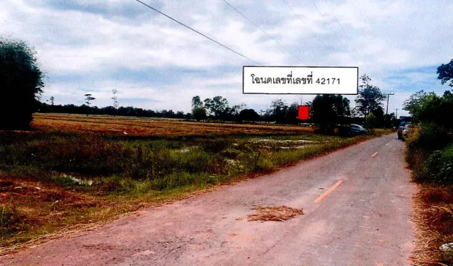 ขายทอดตลาด ที่ดินว่างเปล่า ต.บากเรือ อ.มหาชนะชัย จ.ยโสธร