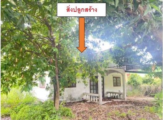 ขายทอดตลาด ที่ดินพร้อมสิ่งปลูกสร้าง ต.เดิด อ.เมืองยโสธร จ.ยโสธร