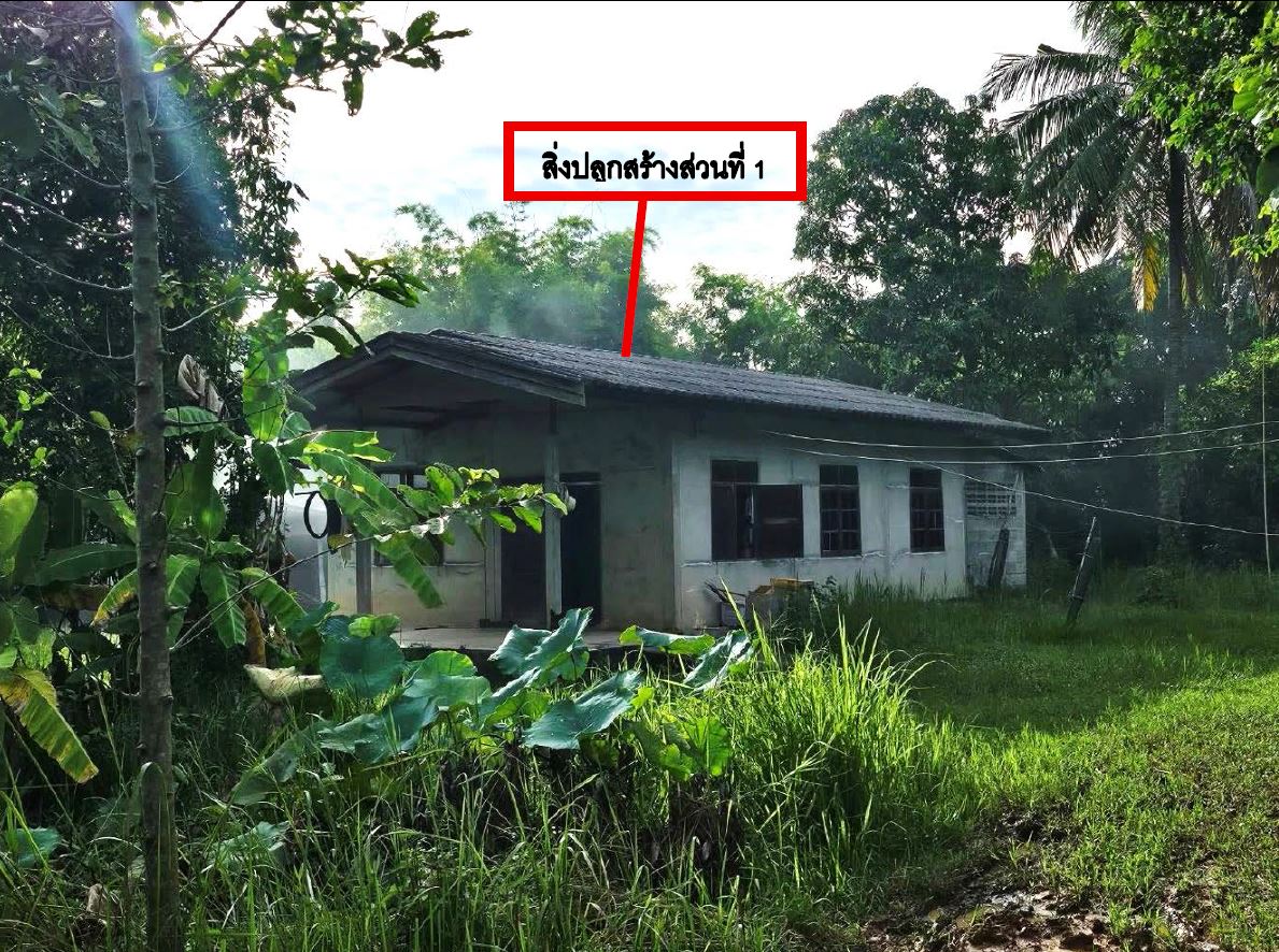 ขายทอดตลาด ที่ดินพร้อมสิ่งปลูกสร้าง ต.เขื่องคำ อ.เมืองยโสธร จ.ยโสธร