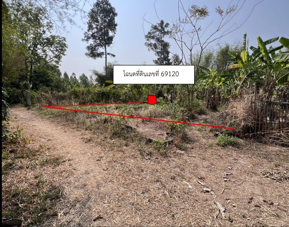 ขายทอดตลาด ที่ดินว่างเปล่า จ.ร้อยเอ็ด