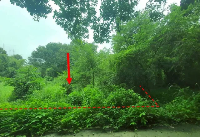 ขายทอดตลาด ที่ดินว่างเปล่า ต.สำราญ อ.เมืองยโสธร จ.ยโสธร