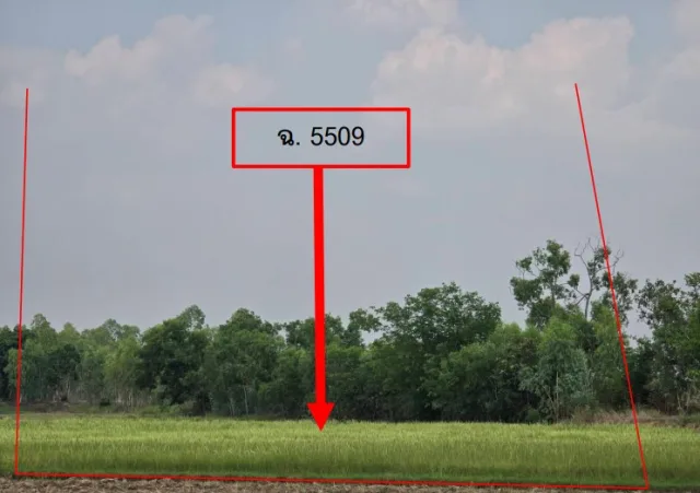 ขายทอดตลาด ที่ดินว่างเปล่า จ.ยโสธร