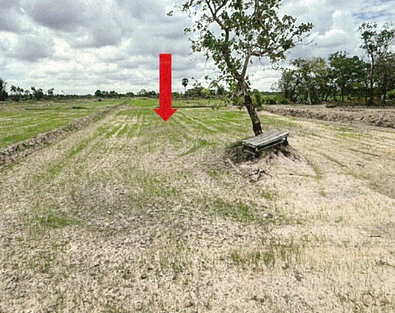 ขายทอดตลาด ที่ดินว่างเปล่า ต.บึงแก อ.มหาชนะชัย จ.ยโสธร