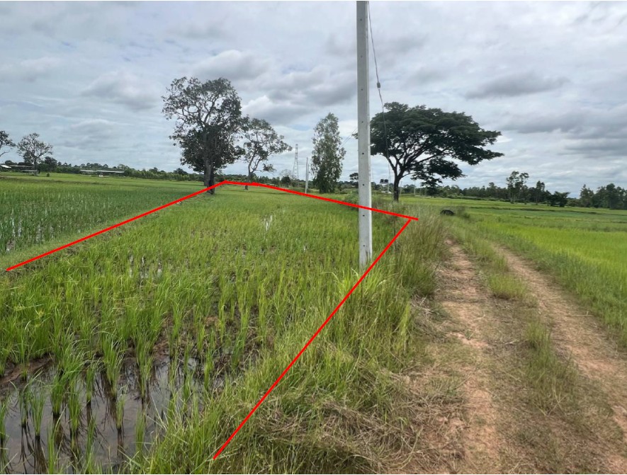 ขายทอดตลาด ที่ดินว่างเปล่า ต.ทุ่งมน อ.คำเขื่อนแก้ว จ.ยโสธร