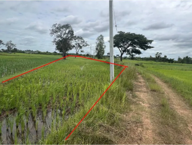 ขายทอดตลาด ที่ดินว่างเปล่า ต.ทุ่งมน อ.คำเขื่อนแก้ว จ.ยโสธร