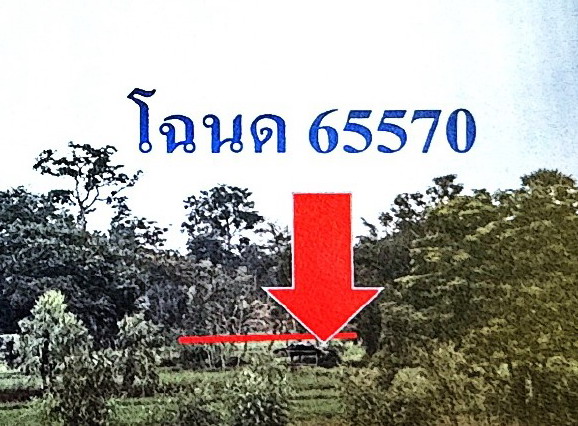 ขายทอดตลาด ที่ดินว่างเปล่า ต.ค้อเหนือ อ.เมืองยโสธร จ.ยโสธร