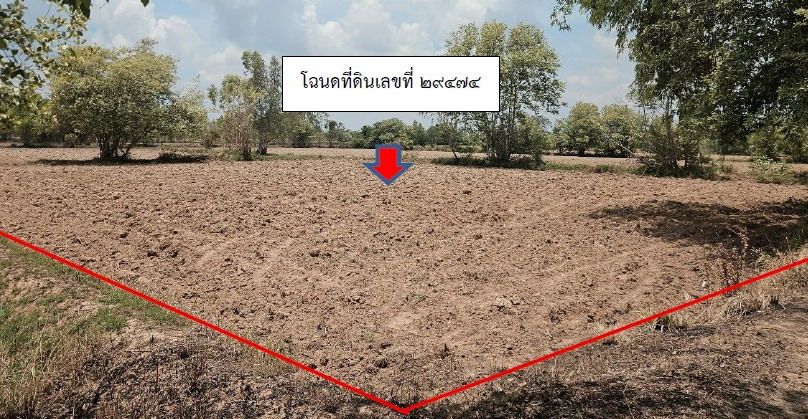 ขายทอดตลาด ที่ดินว่างเปล่า ต.กุดกุง อ.คำเขื่อนแก้ว จ.ยโสธร