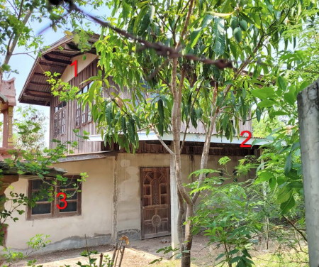 ขายทอดตลาด ที่ดินพร้อมสิ่งปลูกสร้าง ต.สิงห์โคก อ.เกษตรวิสัย จ.ร้อยเอ็ด