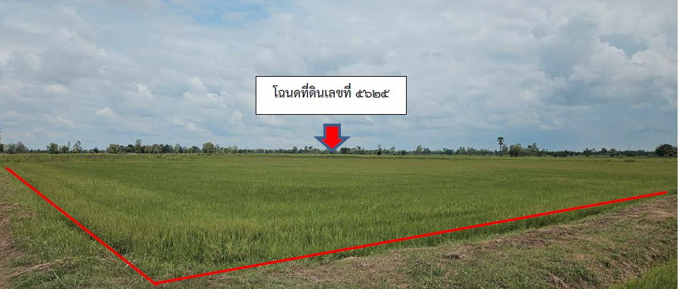 ขายทอดตลาด ที่ดินว่างเปล่า ต.เขื่องคำ อ.เมืองยโสธร จ.ยโสธร