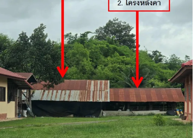 ขายทอดตลาด ที่ดินพร้อมสิ่งปลูกสร้าง ต.กระจาย อ.ป่าติ้ว จ.ยโสธร