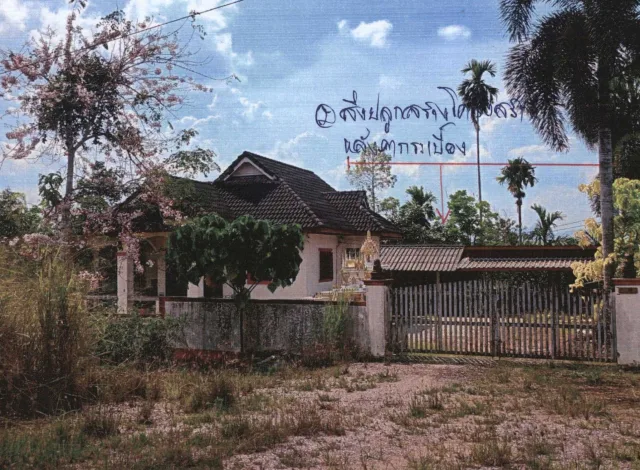 ขายทอดตลาด ที่ดินพร้อมสิ่งปลูกสร้าง ต.ชัยบุรี อ.ชัยบุรี จ.สุราษฎร์ธานี