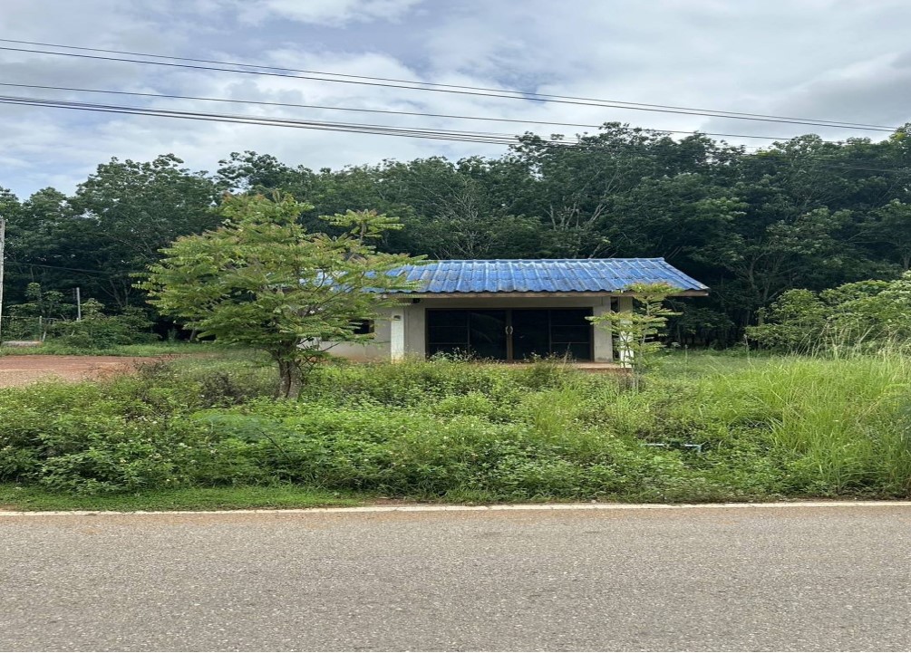 ขายทอดตลาด ที่ดินพร้อมสิ่งปลูกสร้าง ต.บางสวรรค์ อ.พระแสง จ.สุราษฎร์ธานี