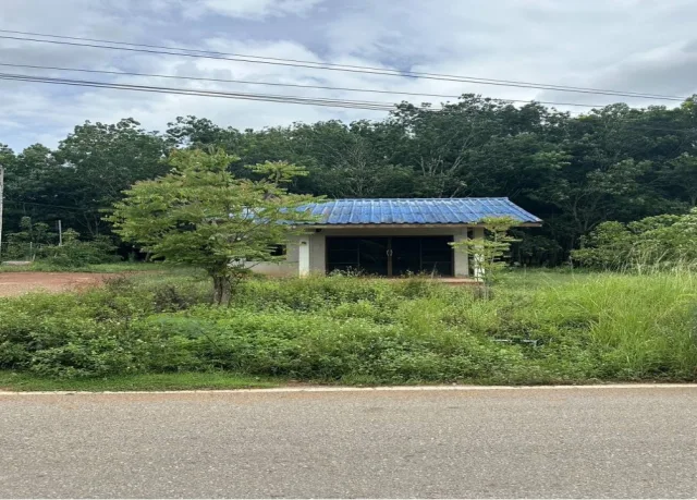 ขายทอดตลาด ที่ดินพร้อมสิ่งปลูกสร้าง ต.บางสวรรค์ อ.พระแสง จ.สุราษฎร์ธานี