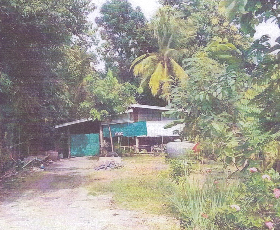 ขายทอดตลาด ที่ดินพร้อมสิ่งปลูกสร้าง ต.วังจั่น อ.โคกสำโรง จ.ลพบุรี