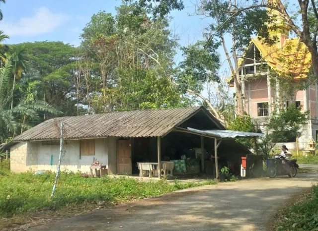 ขายทอดตลาด ที่ดินพร้อมสิ่งปลูกสร้าง ต.สินปุน อ.พระแสง จ.สุราษฎร์ธานี