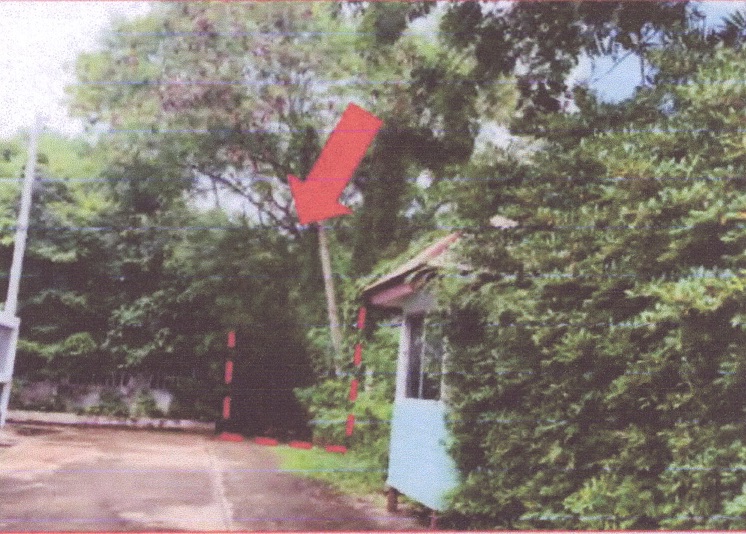 ขายทอดตลาด ที่ดินว่างเปล่า ต.ท่าศาลา อ.เมืองลพบุรี จ.ลพบุรี
