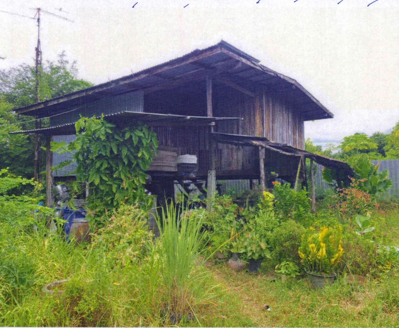 ขายทอดตลาด ที่ดินพร้อมสิ่งปลูกสร้าง ต.ดงพลับ อ.บ้านหมี่ จ.ลพบุรี
