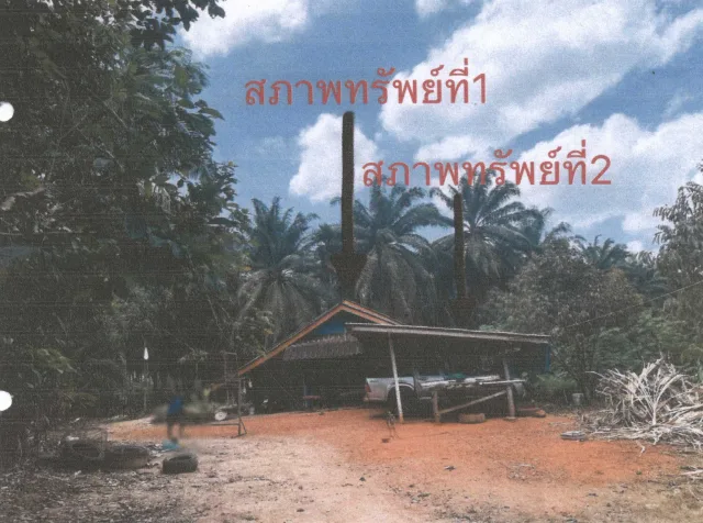 ขายทอดตลาด ที่ดินพร้อมสิ่งปลูกสร้าง ต.ชัยบุรี อ.ชัยบุรี จ.สุราษฎร์ธานี