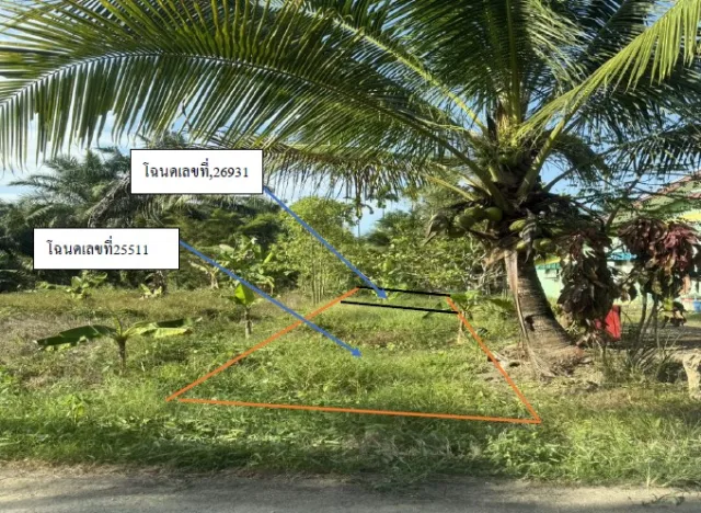 ขายทอดตลาด ที่ดินว่างเปล่า ต.ทุ่งหลวง อ.เวียงสระ จ.สุราษฎร์ธานี