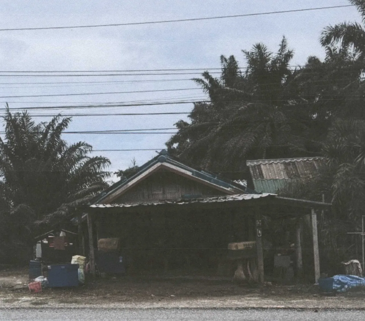ขายทอดตลาด ที่ดินพร้อมสิ่งปลูกสร้าง ต.พรุพี อ.บ้านนาสาร จ.สุราษฎร์ธานี