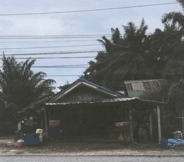 ขายทอดตลาด ที่ดินพร้อมสิ่งปลูกสร้าง ต.พรุพี อ.บ้านนาสาร จ.สุราษฎร์ธานี