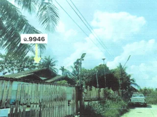 รูปทรัพย์ 2