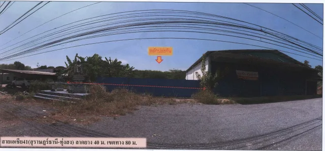 ขายทอดตลาด ที่ดินว่างเปล่า ต.เขานิพันธ์ อ.เวียงสระ จ.สุราษฎร์ธานี