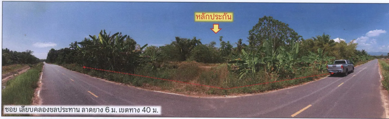ขายทอดตลาด ที่ดินว่างเปล่า ต.ทุ่งหลวง อ.เวียงสระ จ.สุราษฎร์ธานี
