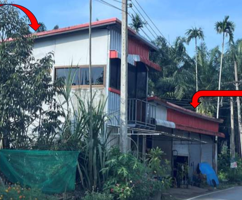 ขายทอดตลาด ที่ดินพร้อมสิ่งปลูกสร้าง ต.นาสาร อ.บ้านนาสาร จ.สุราษฎร์ธานี