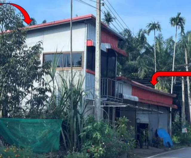 ขายทอดตลาด ที่ดินพร้อมสิ่งปลูกสร้าง ต.นาสาร อ.บ้านนาสาร จ.สุราษฎร์ธานี
