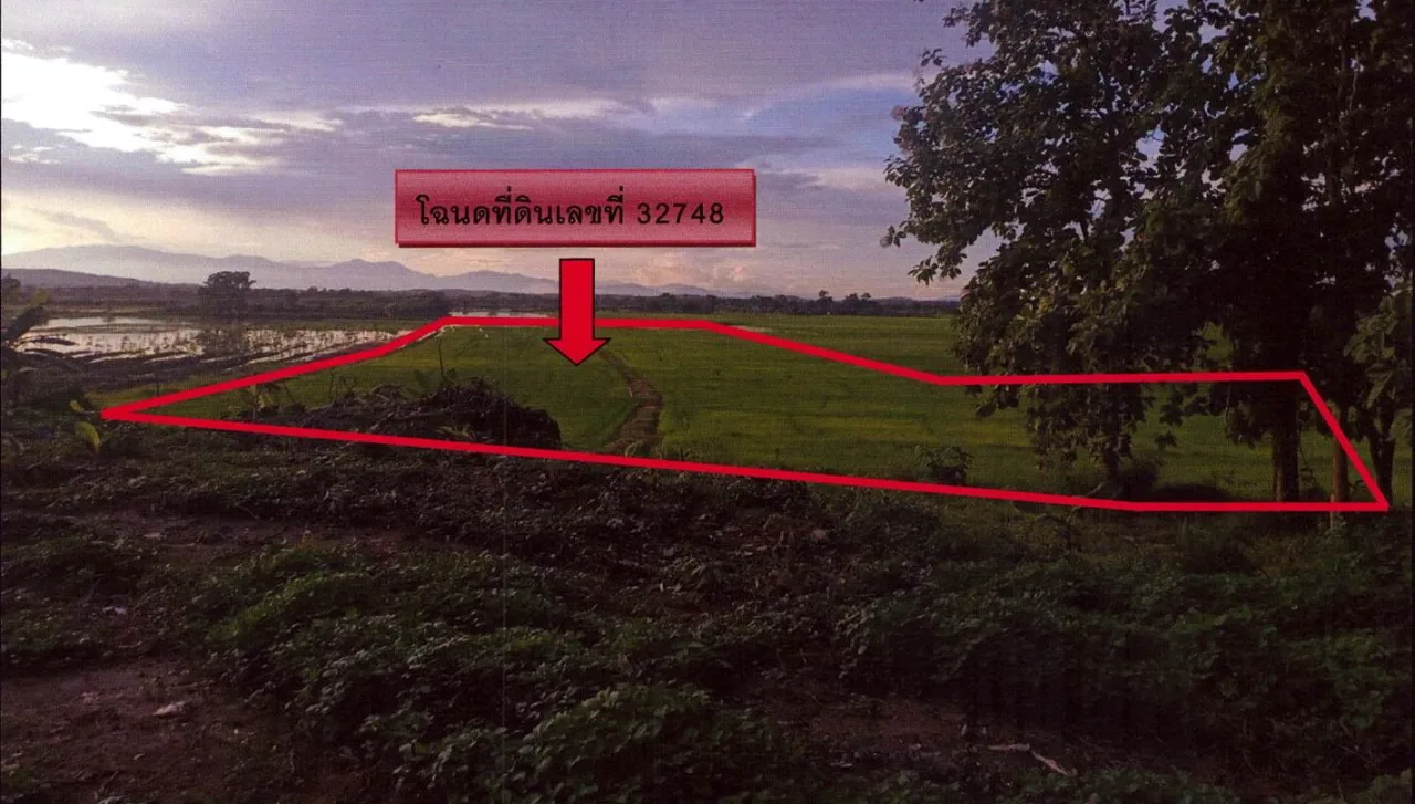 ขายทอดตลาด ที่ดินว่างเปล่า ต.ท่าข้าวเปลือก อ.แม่จัน จ.เชียงราย