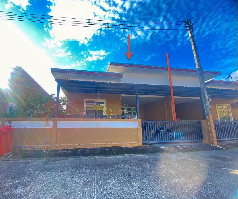 ขายทอดตลาด ที่ดินพร้อมสิ่งปลูกสร้าง ต.เขานิพันธ์ อ.เวียงสระ จ.สุราษฎร์ธานี