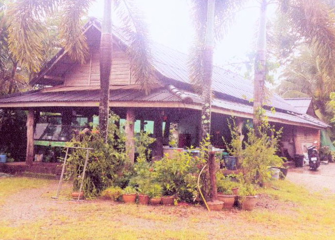 ขายทอดตลาด ที่ดินพร้อมสิ่งปลูกสร้าง ต.บางสวรรค์ อ.พระแสง จ.สุราษฎร์ธานี