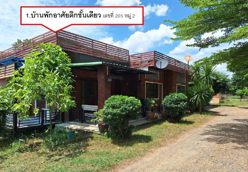 ขายทอดตลาด ที่ดินพร้อมสิ่งปลูกสร้าง ต.พัฒนานิคม อ.พัฒนานิคม จ.ลพบุรี