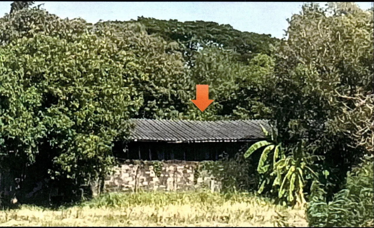 ขายทอดตลาด ที่ดินพร้อมสิ่งปลูกสร้าง ต.โพนทอง อ.บ้านหมี่ จ.ลพบุรี