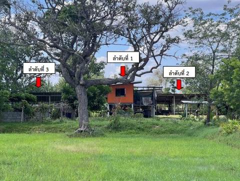 ขายทอดตลาด ที่ดินพร้อมสิ่งปลูกสร้าง ต.บัวแดง อ.ปทุมรัตต์ จ.ร้อยเอ็ด