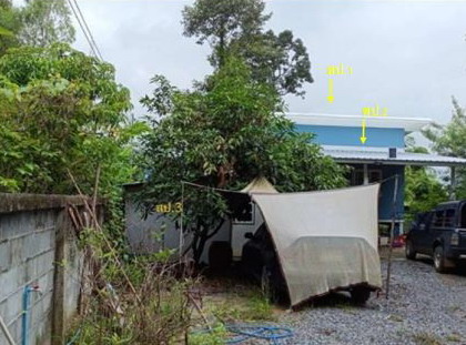 ขายทอดตลาด ที่ดินพร้อมสิ่งปลูกสร้าง ต.เหนือเมือง อ.เมืองร้อยเอ็ด จ.ร้อยเอ็ด
