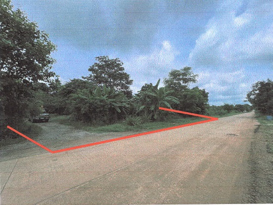 ขายทอดตลาด ที่ดินว่างเปล่า จ.ลพบุรี
