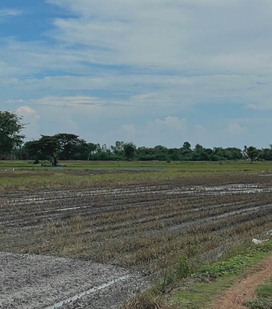 ขายทอดตลาด ที่ดินว่างเปล่า จ.ลพบุรี