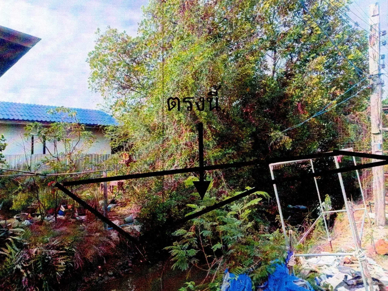 ขายทอดตลาด ที่ดินว่างเปล่า ต.คลองตำหรุ อ.เมืองชลบุรี จ.ชลบุรี