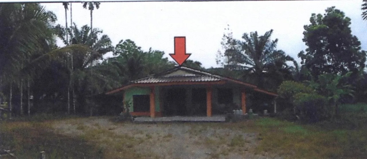 ขายทอดตลาด ที่ดินพร้อมสิ่งปลูกสร้าง ต.บ้านนา อ.เมืองชุมพร จ.ชุมพร