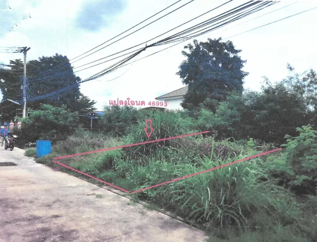 ขายทอดตลาด ที่ดินว่างเปล่า ต.ในเมือง อ.เมืองชัยนาท จ.ชัยนาท