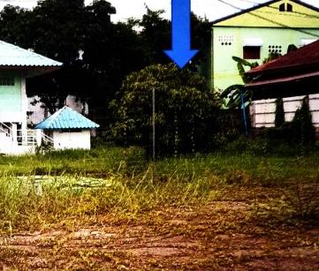 ขายทอดตลาด ที่ดินว่างเปล่า จ.ลพบุรี